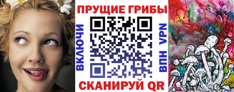 Псилоцибиновые грибы мицелий Сунжа