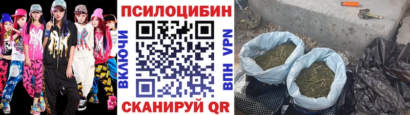 сколько стоит  Сунжа  Галлюциногенные грибы GOLDEN TEACHER 